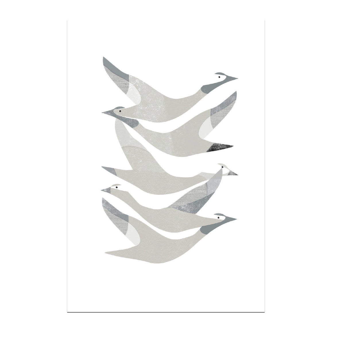 Set of 8 Birds Art Cards